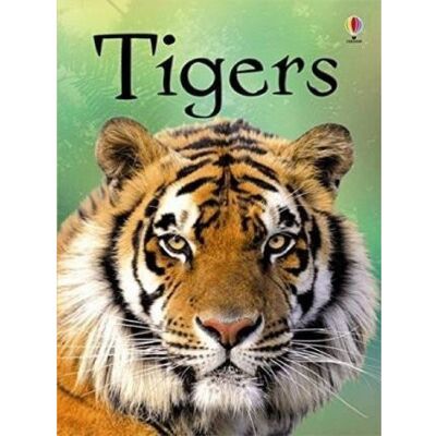 Usborne Tigers Usborne Tigers