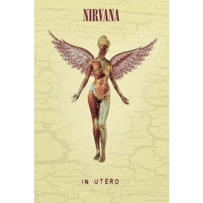 Pyramid Nirvana: In utero Pyramid Nirvana: In utero