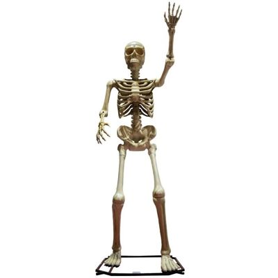 Funny Fashion FUNNYFASHION Halloween obří kostlivec, kostra, skeleton, 335 cm Funny Fashion FUNNYFASHION Halloween obří kostlivec, kostra, skeleton, 335 cm