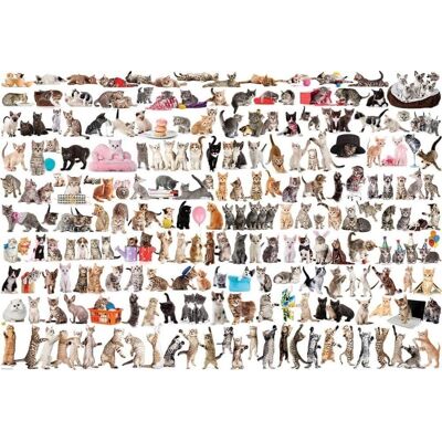 Eurographics Svět koček Puzzle - 2000 Dílků Eurographics Svět koček Puzzle - 2000 Dílků