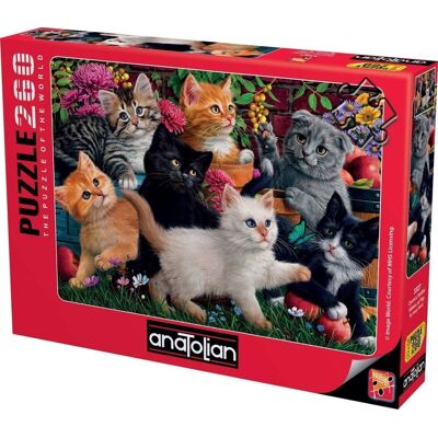 Anatolian Divergentní koťata - puzzle 260 dílků Anatolian Divergentní koťata - puzzle 260 dílků