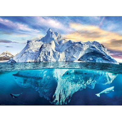 Eurographics Arktický 1000-dílný puzzle - Save Our Planet Eurographics Arktický 1000-dílný puzzle - Save Our Planet