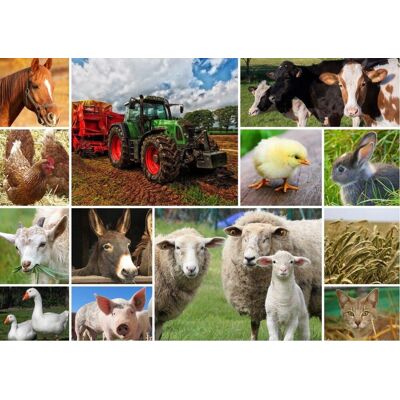 GRAFIKA Puzzle Zvířata I. - Hospodářská zvířata 1500 dílků GRAFIKA Puzzle Zvířata I. - Hospodářská zvířata 1500 dílků