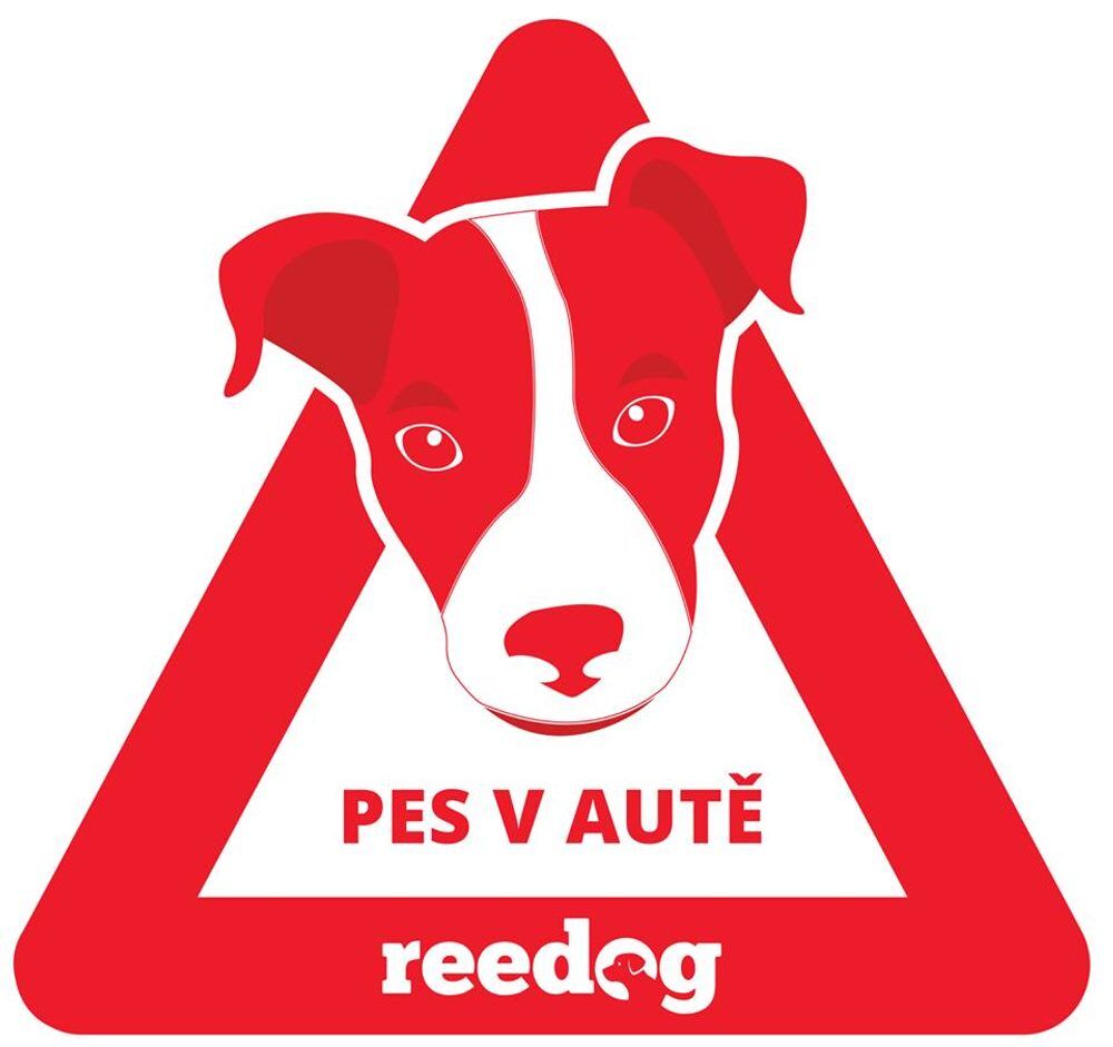 Reedog Samolepka pes v autě