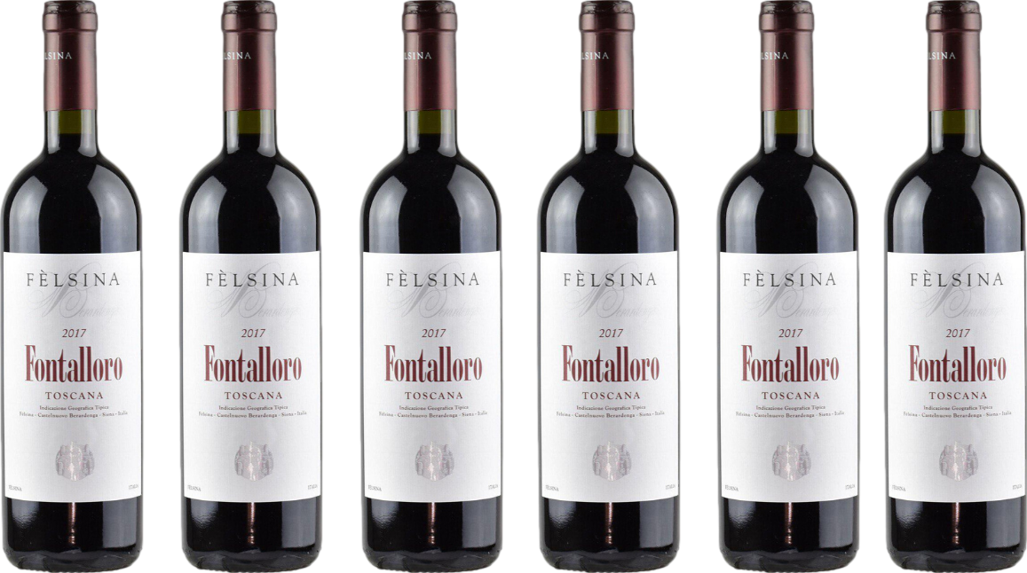 8Wines.cz Felsina Fontalloro 2017 6 Bottle Case