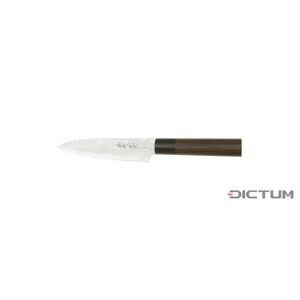 DICTUM Japonský nůž 719671 - Kamo Hocho, Gyuto, Fish and Meat Knife
