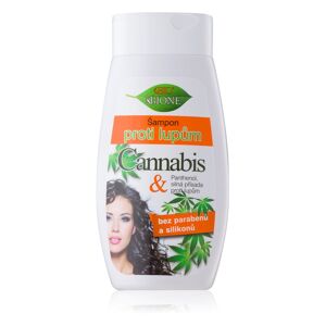 Bione BC Bione Cosmetics Bio Cannabis šampon na vlasy proti lupům 260 ml