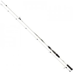 Daiwa Prut Ballistic LTD Spin 2,40m 30-70g 2-díl