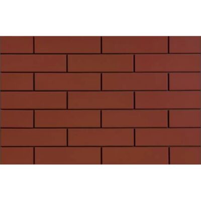 Cerrad Fasádní Obklad Hladký Rot 24,5/6,5 Cerrad Fasádní Obklad Hladký Rot 24,5/6,5
