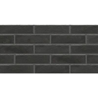 Cerrad Fasádní obklad Foggia Nero 245/65/8 Cerrad Fasádní obklad Foggia Nero 245/65/8