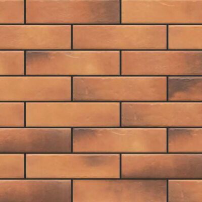 Cerrad Fasádní Obklad Retro Brick Curry 245/65/8 Cerrad Fasádní Obklad Retro Brick Curry 245/65/8