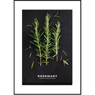 STYLER Obraz Artbox 50x70 AB181 Rosemary OB-14443 STYLER Obraz Artbox 50x70 AB181 Rosemary OB-14443