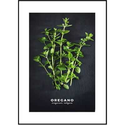 STYLER Obraz Artbox 50x70 AB182 Oregano OB-14442 STYLER Obraz Artbox 50x70 AB182 Oregano OB-14442