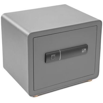 Trezor G21 Na Otisk Prstu 380 X 310 X 300 Mm Trezor G21 Na Otisk Prstu 380 X 310 X 300 Mm