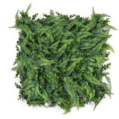 Umělá Zelená Stěna G21 Listo Ferns, 50x50 Cm Umělá Zelená Stěna G21 Listo Ferns, 50x50 Cm