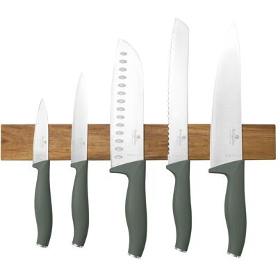 Berlingerhaus Sada Nožů S Magnetickým Držákem Z Akátového Dřeva 6 Ks Matte Green Collection Bh-2978 Berlingerhaus Sada Nožů S Magnetickým Držákem Z Akátového Dřeva 6 Ks Matte Green Collection Bh-2978