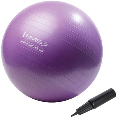 Gymnastický Míč Hms Yb02n 65 Cm Fialový Gymnastický Míč Hms Yb02n 65 Cm Fialový