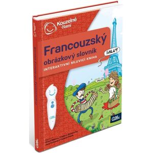 Albi Kouzelné čtení Kniha Francouzský obr. slovník Albi Kouzelné čtení Kniha Francouzský obr. slovník