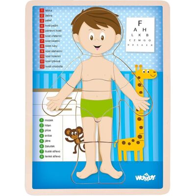 Woody Puzzle Lidské tělo - Kluk CZ Woody Puzzle Lidské tělo - Kluk CZ