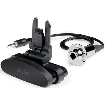 Taylor Gs Mini Es Go Pick Up Taylor Gs Mini Es Go Pick Up
