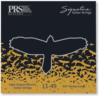 Prs Signature Strings David Grissom Prs Signature Strings David Grissom