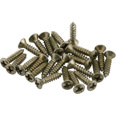 Fender Road Worn Control Plate Screws Fender Road Worn Control Plate Screws