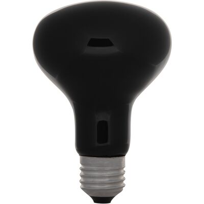 Eurolite Uv 75w/230v Eurolite Uv 75w/230v