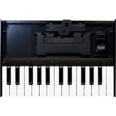 Roland K-25m Roland K-25m