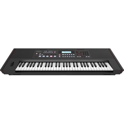 Roland E-X50 Roland E-X50