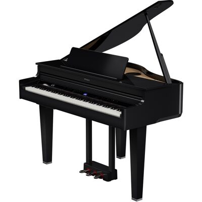 Roland Gp-6 Pe Roland Gp-6 Pe