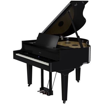 Roland Gp-9 Pe Roland Gp-9 Pe