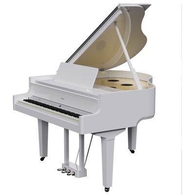 Roland Gp-9 Pw Roland Gp-9 Pw