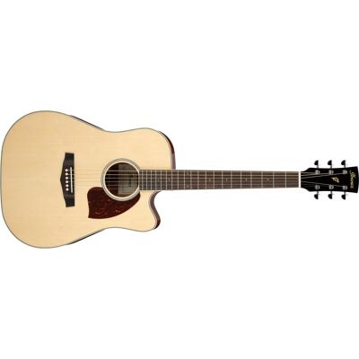 Ibanez Pf16wce Natural Ibanez Pf16wce Natural