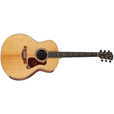 Taylor Gold Label 814e Taylor Gold Label 814e