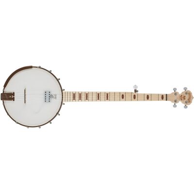 Deering Goodtime Acoustic/electric Deering Goodtime Acoustic/electric