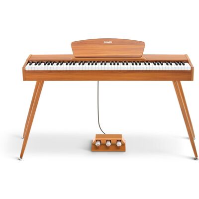 Donner Ddp-80 Donner Ddp-80