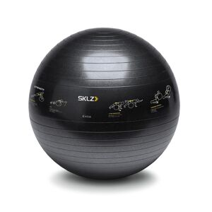 SKLZ Trainer Ball, gymnastický míč 65 cm