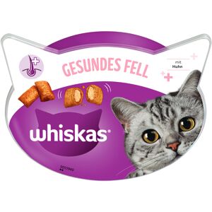 Whiskas Healthy Coat - pro zdravou srst  - 50 g