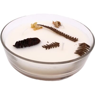 Song of India Vonná svíčka Botanicals - Balsam Cedarwood 200 g Song of India Vonná svíčka Botanicals - Balsam Cedarwood 200 g