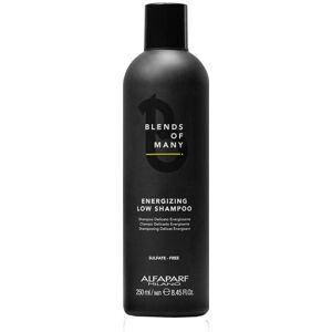Alfaparf Milano Blends Of Many Energizing Low Shampoo - Šampon na Slabé Vlasy Alfaparf Milano Blends Of Many Energizing Low Shampoo - Šampon na Slabé Vlasy