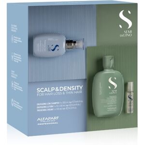 Alfaparf Milano Scalp&Density set péče při vypadávání vlasů Alfaparf Milano Scalp&Density set péče při vypadávání vlasů