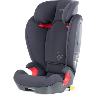 AVOVA Star-fix 2024 Koala Grey AVOVA Star-fix 2024 Koala Grey