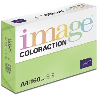 Antalis Java - barevný kancelářský papír, středně zelený A4, 160 g/m2, 250 listů Antalis Java - barevný kancelářský papír, středně zelený A4, 160 g/m2, 250 listů