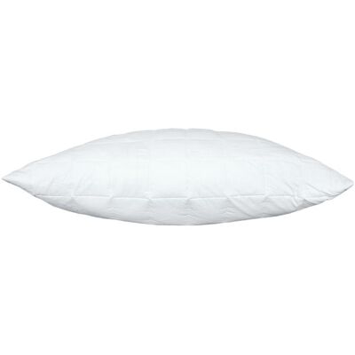 SCANquilt polštář MEDIC SILVER - se stříbrem a stříbrnými vlákny 70 x 90 cm SCANquilt polštář MEDIC SILVER - se stříbrem a stříbrnými vlákny 70 x 90 cm
