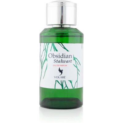 Volare Parfémovaná voda - OBSIDIAN STALWART - Objem: 100ml Volare Parfémovaná voda - OBSIDIAN STALWART - Objem: 100ml