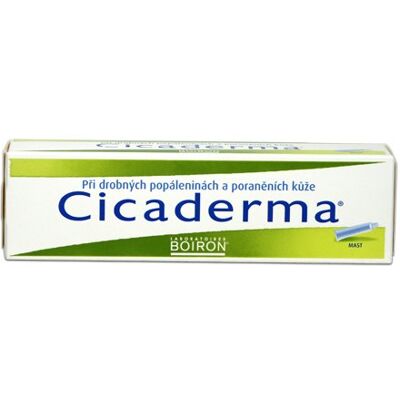 Boiron Cicaderma mast 30 g Boiron Cicaderma mast 30 g