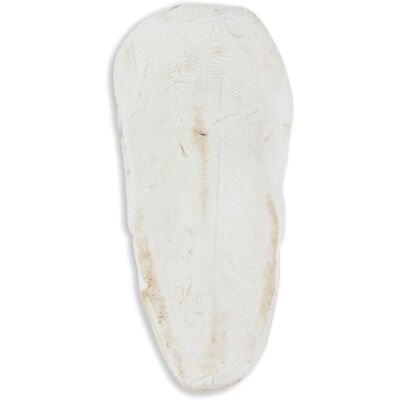 Akinu sépiová kost VOLNĚ 1kg 15-20cm Akinu sépiová kost VOLNĚ 1kg 15-20cm
