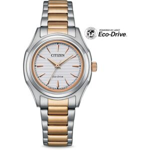 Citizen Eco-Drive Classic FE2116-85A Citizen Eco-Drive Classic FE2116-85A