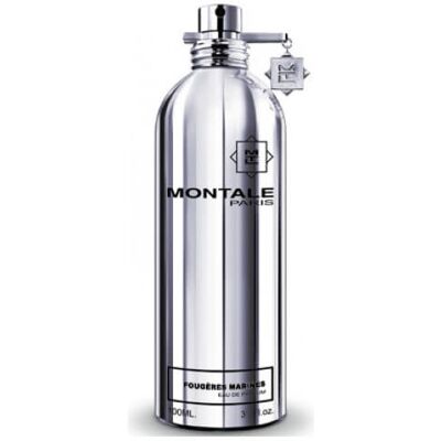 Montale Fougeres Marine - Unisex Aromatický Vodní Parfém 100ml Montale Fougeres Marine - Unisex Aromatický Vodní Parfém 100ml