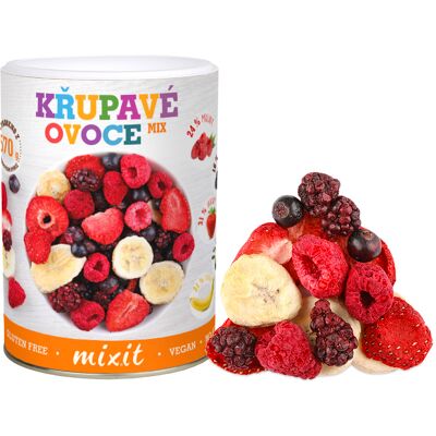 MIXIT Malé křupavé ovoce 70 g MIXIT Malé křupavé ovoce 70 g